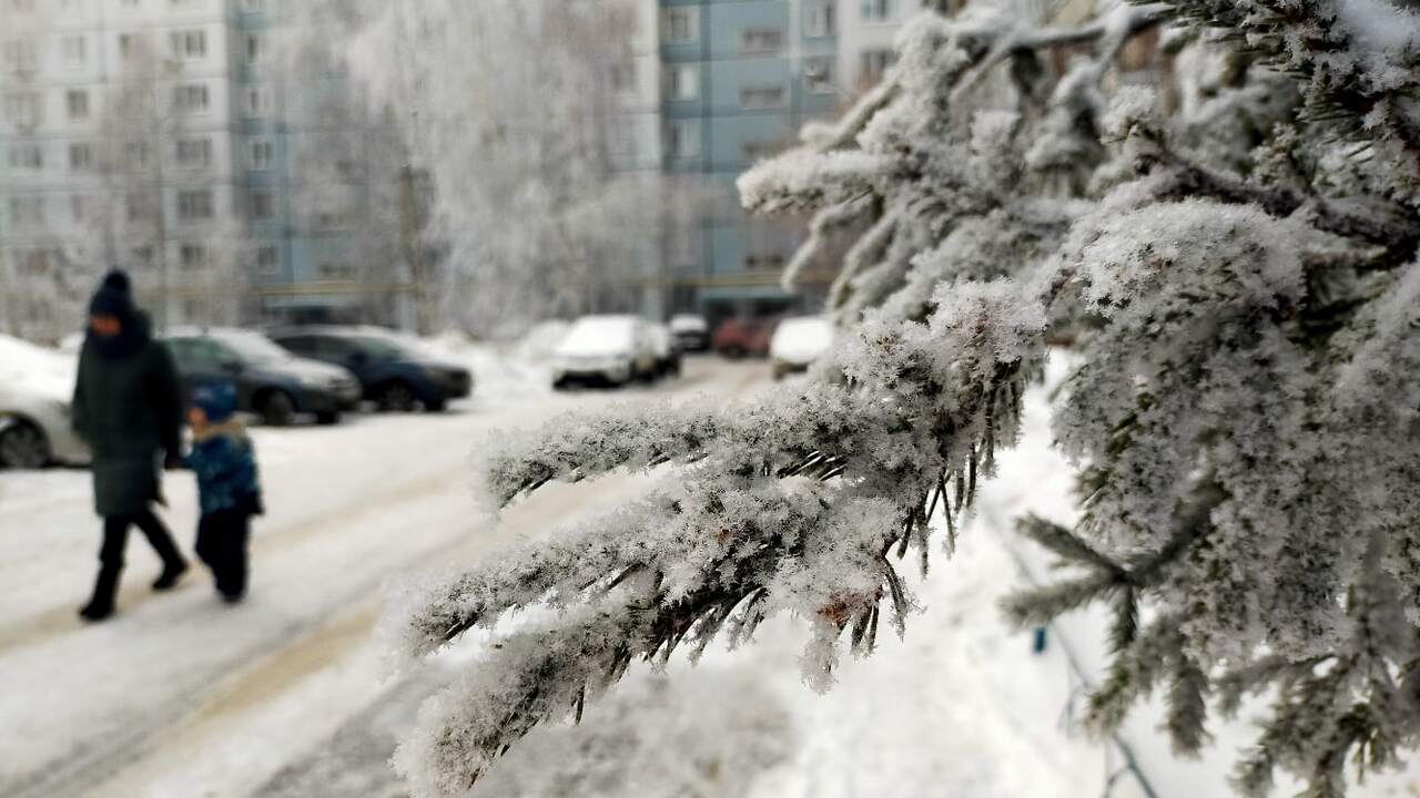 Россиян ждёт редкий подарок календаря: сразу 10 дней отдыха и короткая рабочая неделя в феврале Февраль 2026 года готовит россиянам редкий пода...