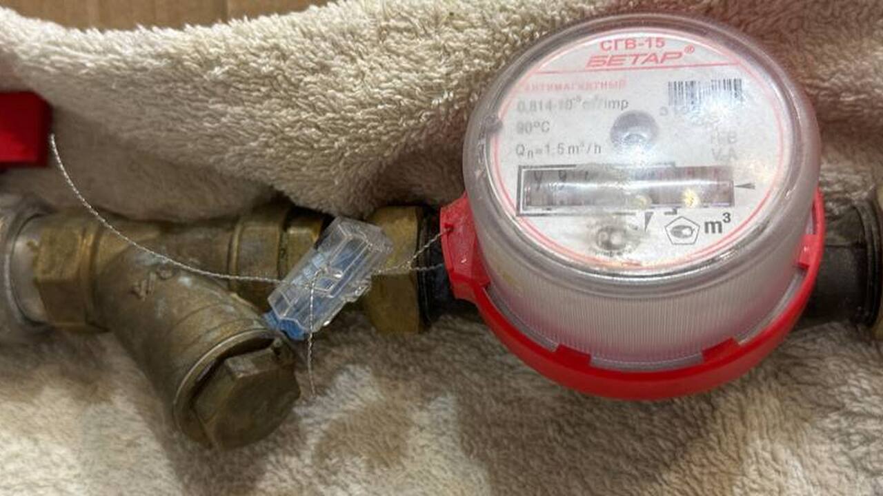 В начале 2026 года соцсети снова разогнали попу...