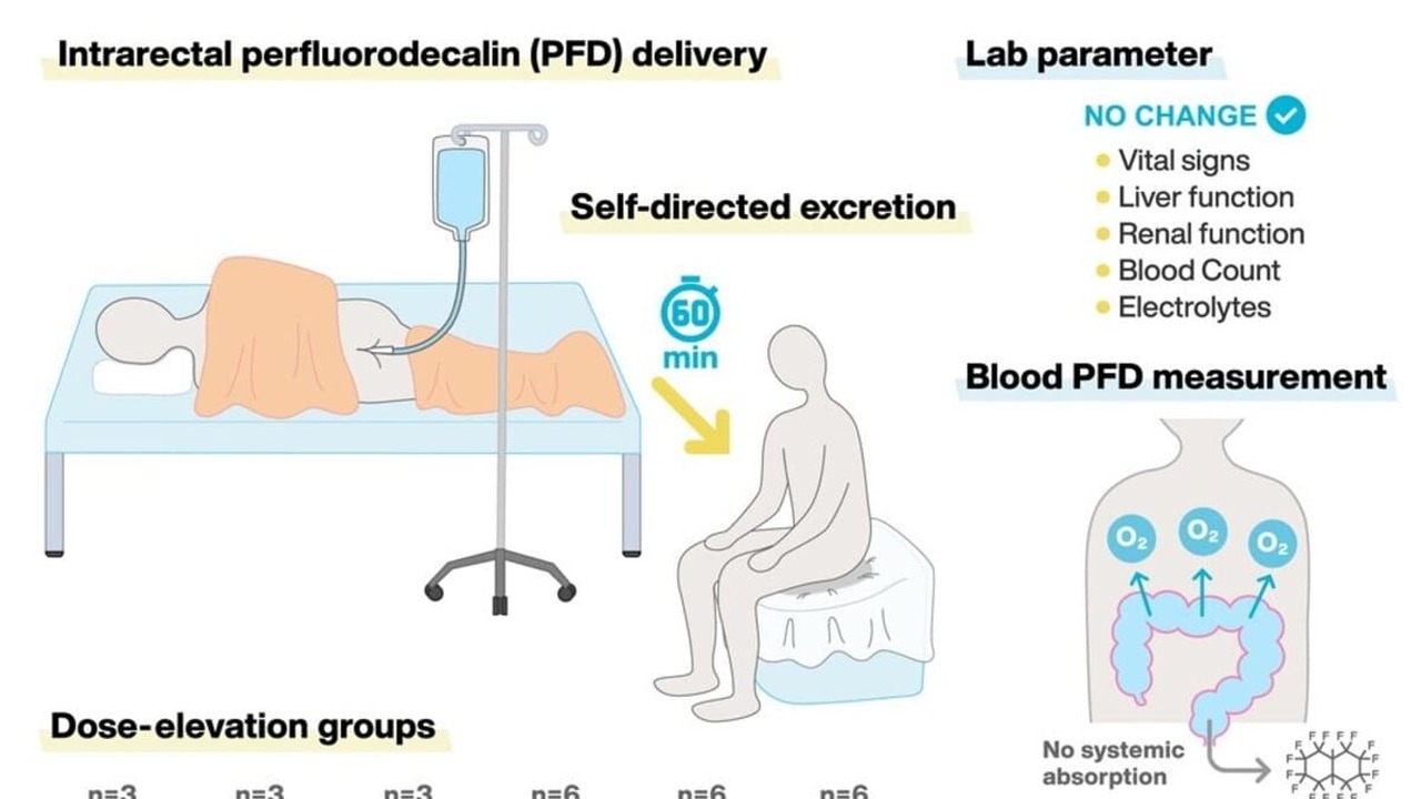 Учёные выяснили, что «кишечное дыхание» безопасно для людей Учёные рассматривают возможность использования ...