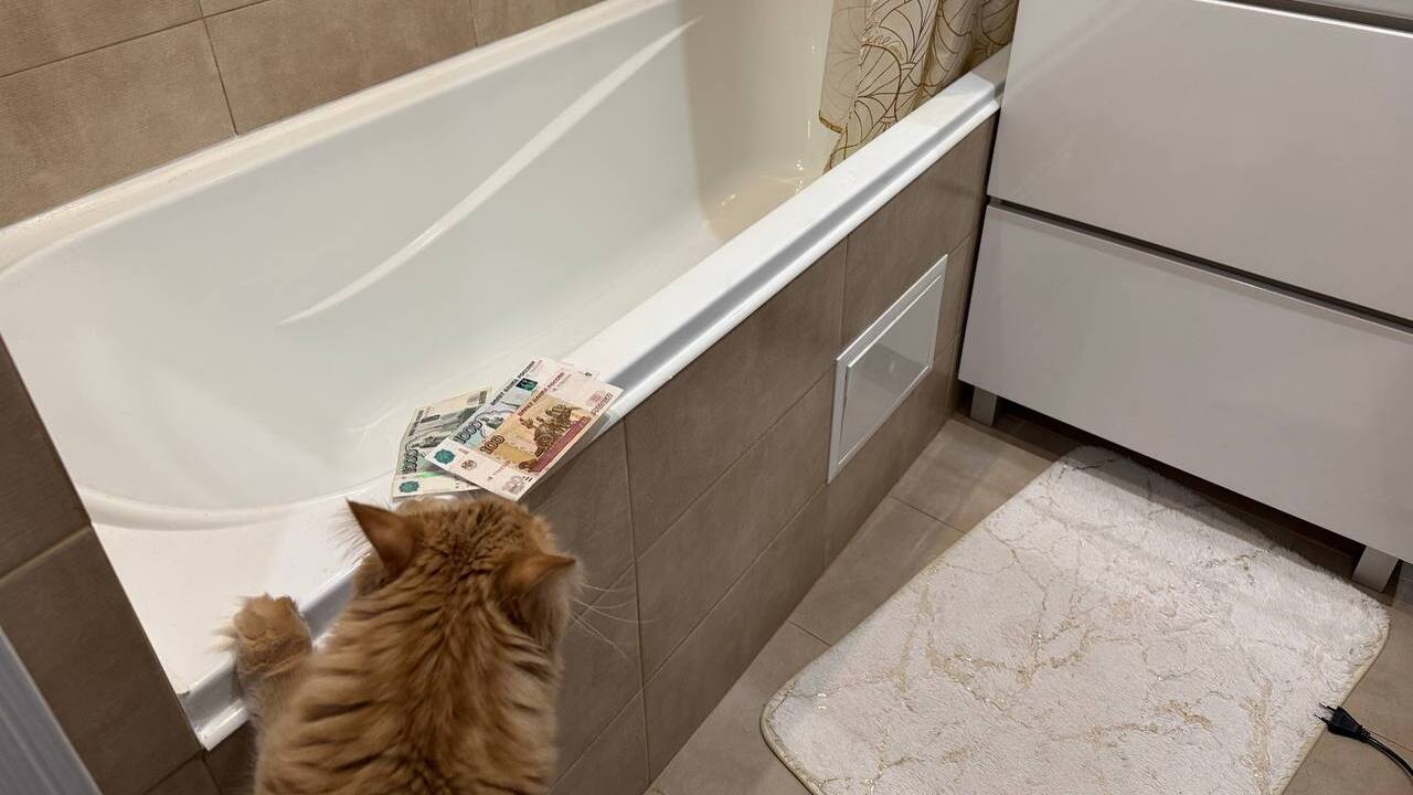 Февраль принесёт новые правила оплаты ЖКУ: кто рискует переплатить и получить пени Январь 2026 года меняет привычные правила оплат...