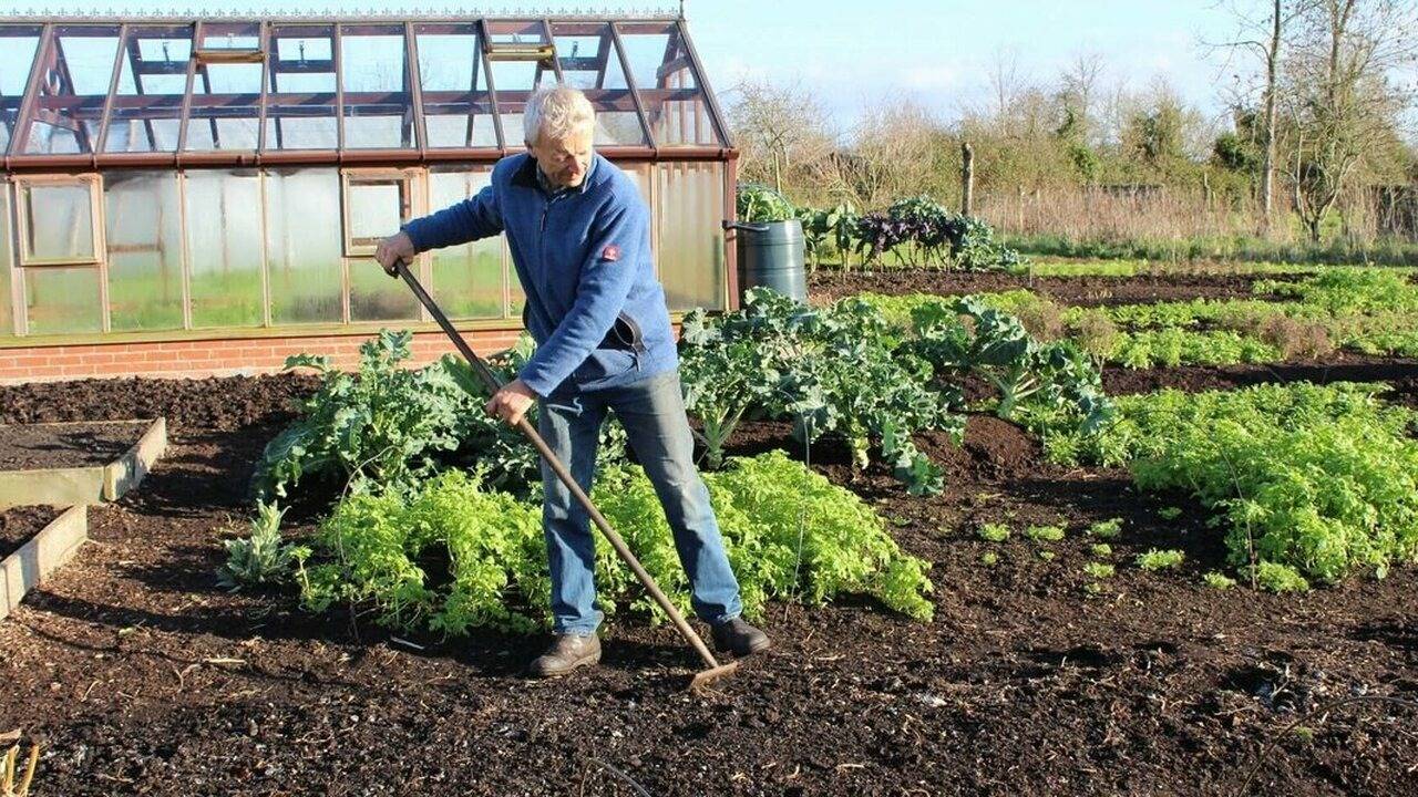 Каждый садовод сталкивается с необходимостью за...