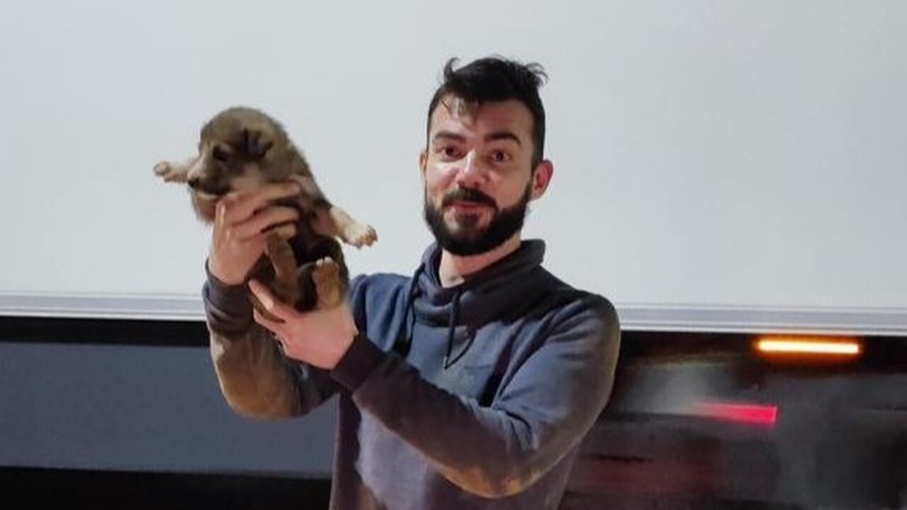 В Казани случилась трогательная история, котора...