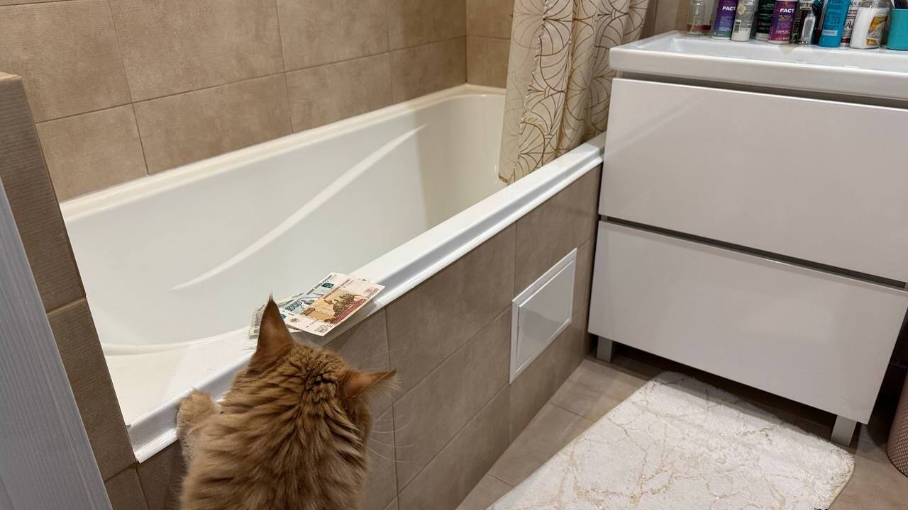 С 2026 года управляющие компании перейдут на ед...