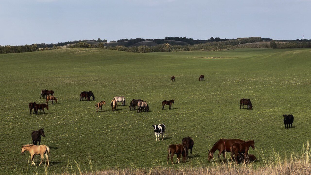 В Татарстане за последние годы заметно сократил...