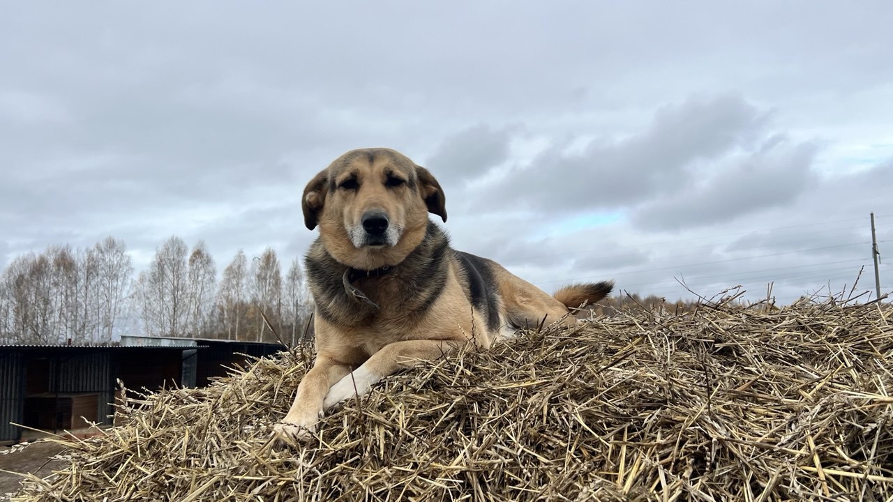 Учёные Пермского Политеха создали первую в Росс...