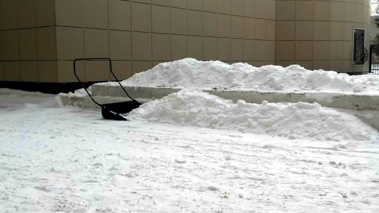 Зима врывается без пощады: резкий поворот погоды похоронит города под снегом по шею После необычно тёплого ноября природа готовит р...