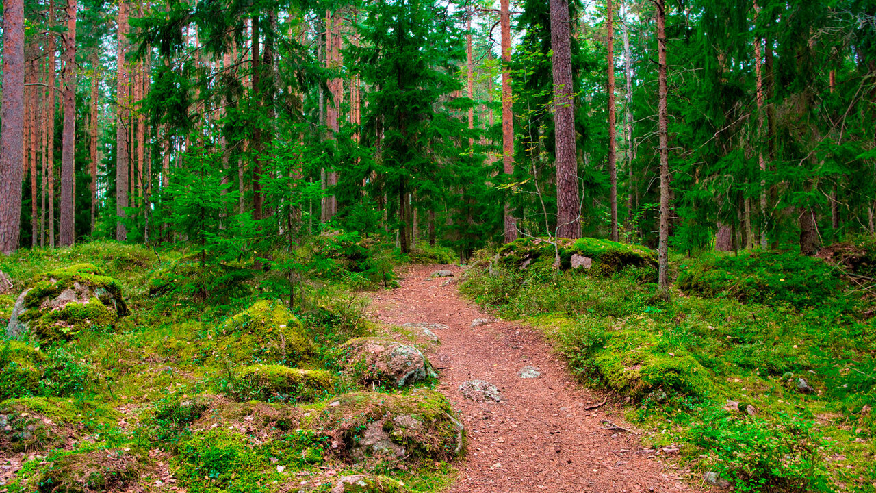 T2, российский оператор мобильной связи, дополн...