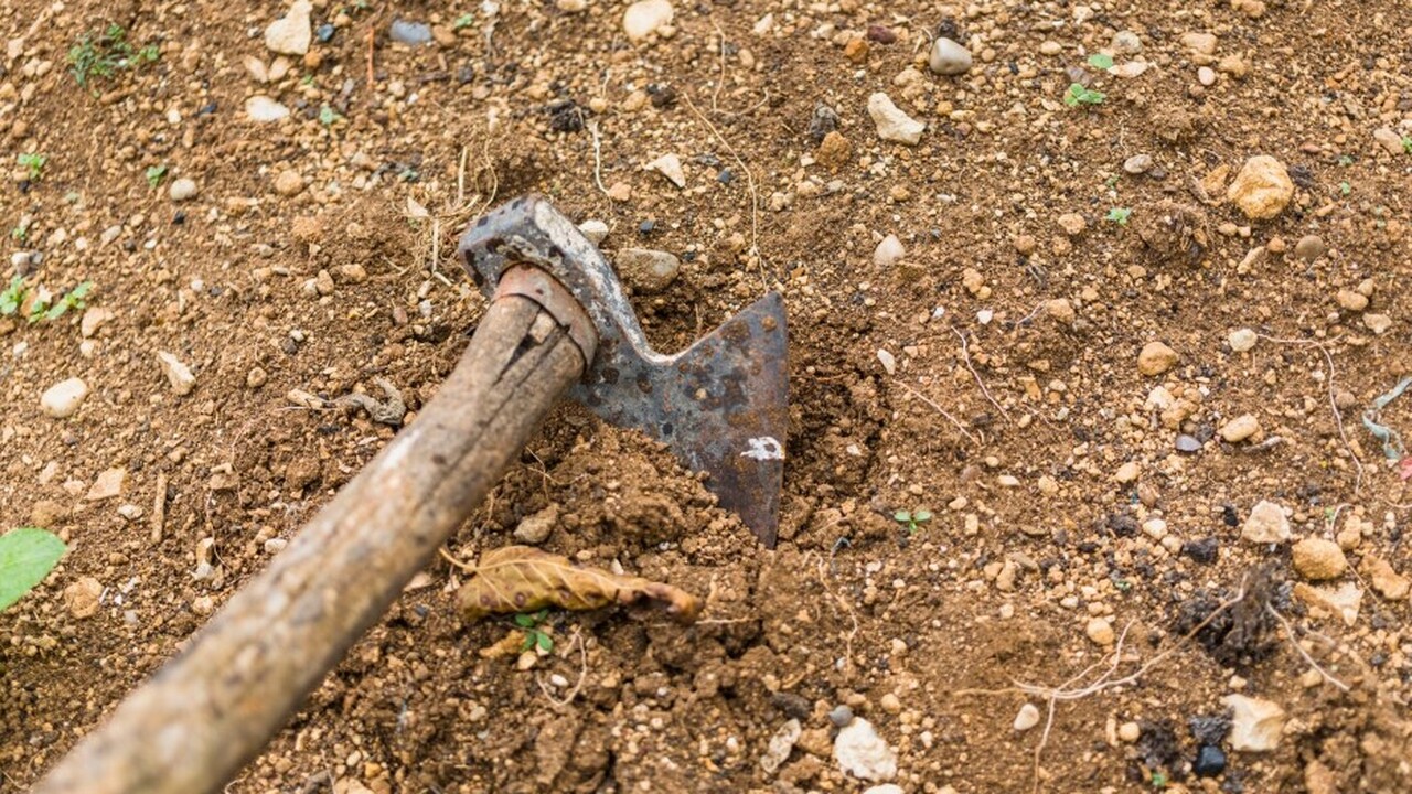 Геологи совершили значимое научное открытие, ка...