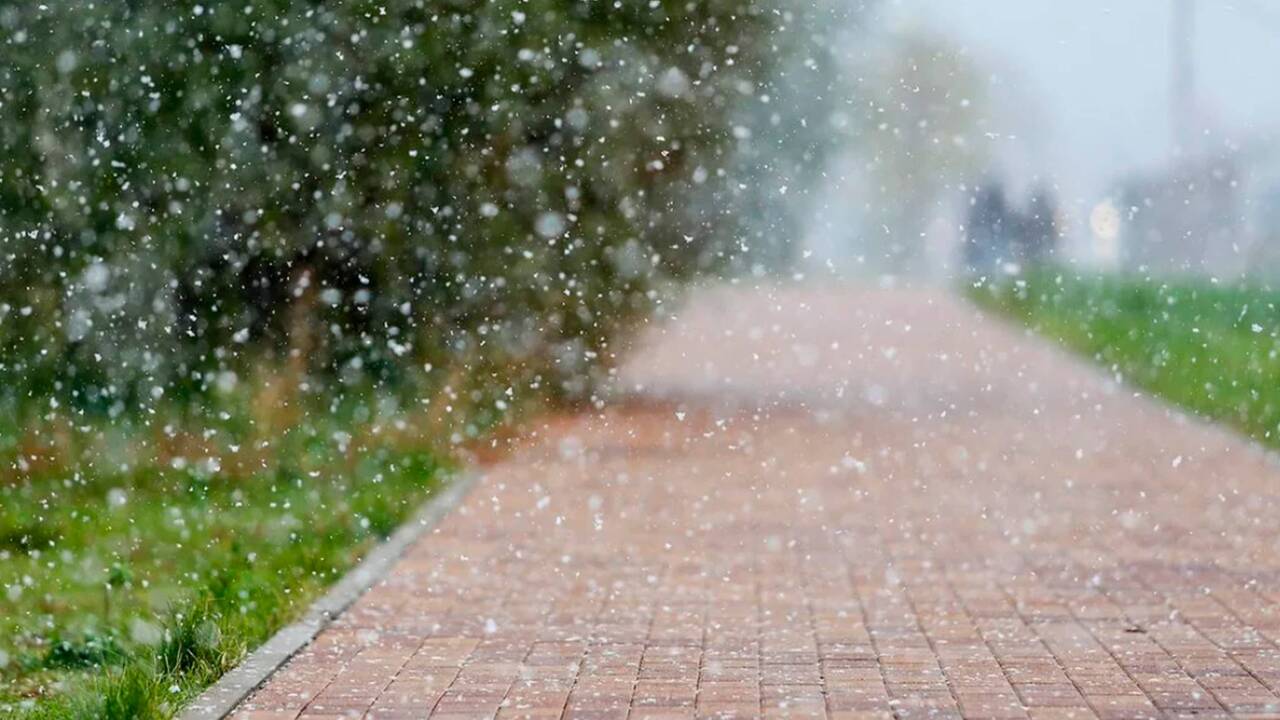 По данным Романа Вильфанда, возглавляющего Гидр...