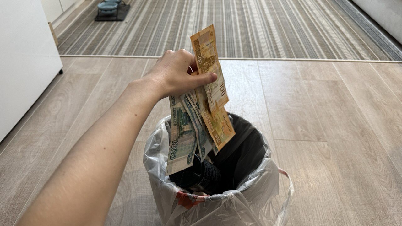 В России фиксируется рост мошеннических схем с ...