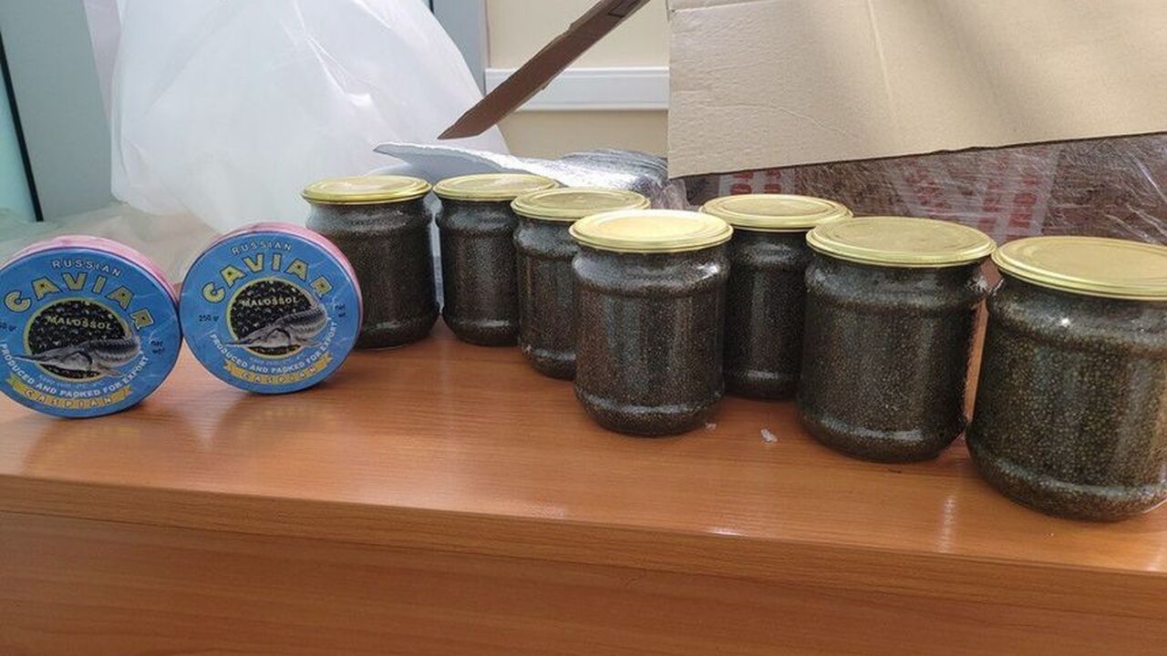 Россиянин пытался провезти икру в Дубай и получил штраф до 1 млн руб. Сотрудники Домодедовской таможни задержали 22-л...