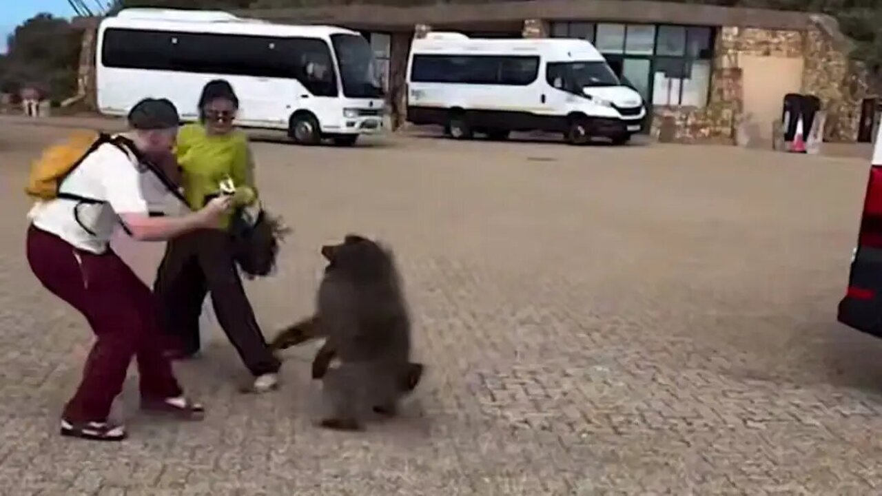 Пара из Казани во время путешествия по ЮАР оказ...