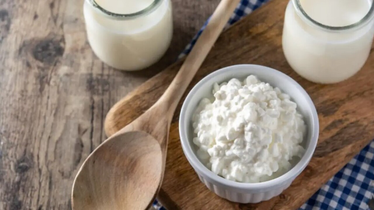 МГУ имени М. В. Ломоносова начал проект по созд...