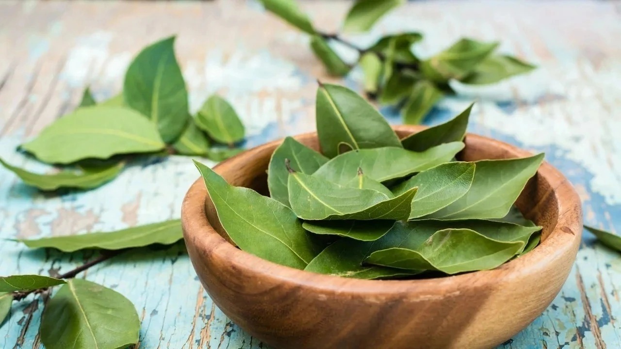Лавровый лист чаще всего ассоциируется с кухней...