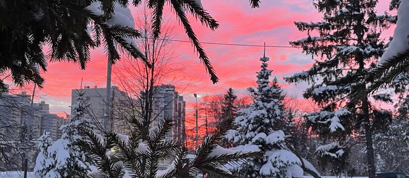 До Нового года осталось менее недели, и жители ...