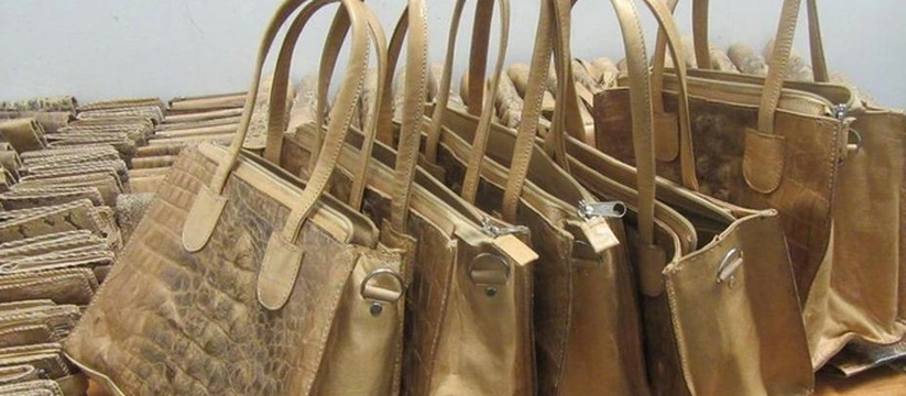 В Казани задержан пассажир с контрабандой на два миллиона рублей В казанском аэропорту поймали пассажира с подде...