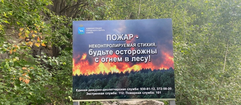 В Татарстане уже в девятый раз с начала весны 2023 года было продлено штормовое предупреждение о пожарной опасности лесов