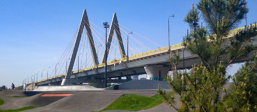 Удастся сохранить гнезда: в Казани был остановлен ремонт опор моста "Миллениум"