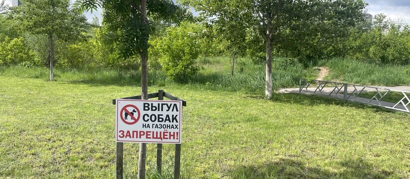 В Татарстане продолжаются споры о допустимости ...