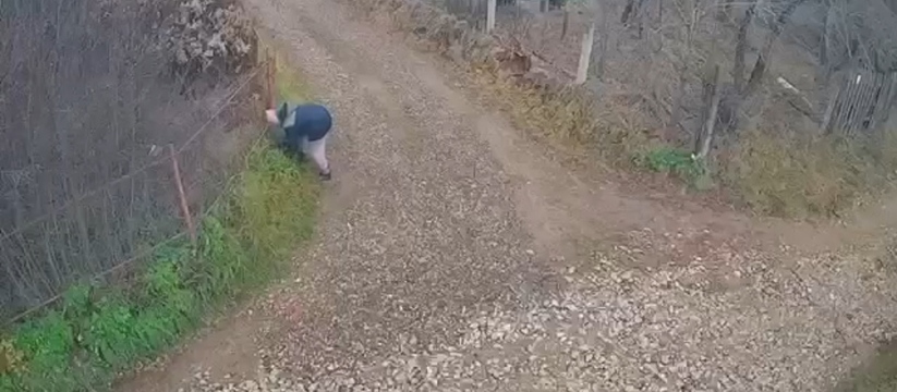 В Зеленодольском районе продолжается обсуждение проблемы бездомных собак В посёлке Васильево (Зеленодольский район) прои...