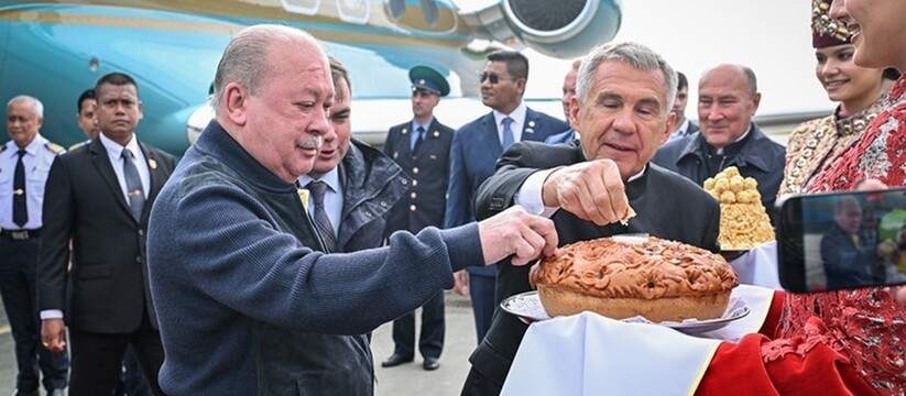 Короля Малайзии Султана Ибрагима встретил глава...