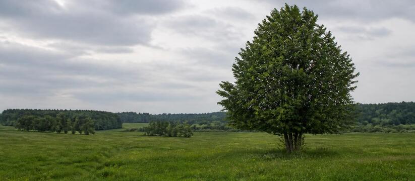 Гидрометцентр Татарстана сообщил, что в третью ...