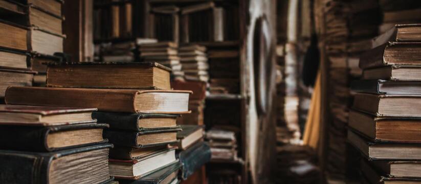Американские компании скупают старые книги в Европе для обучения ИИ Европейские букинистические магазины фиксируют ...