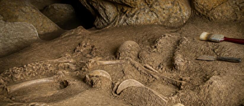 Исследование усомнилось в охоте и использовании огня Homo floresiensis Новое исследование ставит под сомнение, что пре...