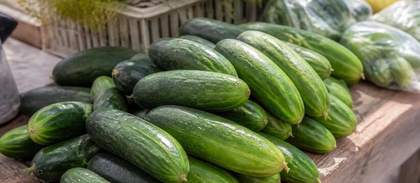 Огурцы подешевели на 14,2% за месяц, став самым...