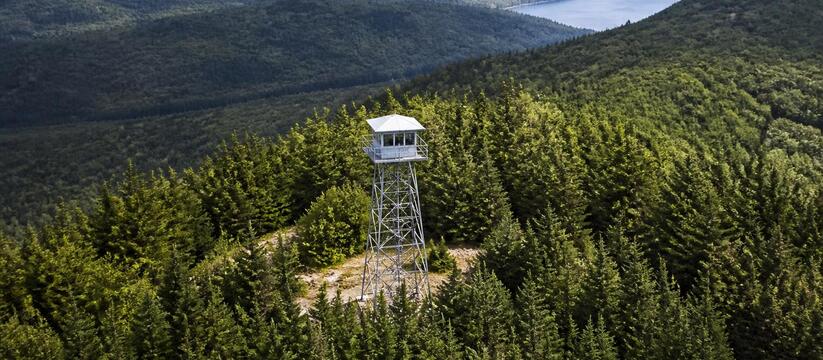 218 тысяч километров патрулей: как в Татарстане берегут леса от огня В Татарстане с начала пожароопасного сезона про...