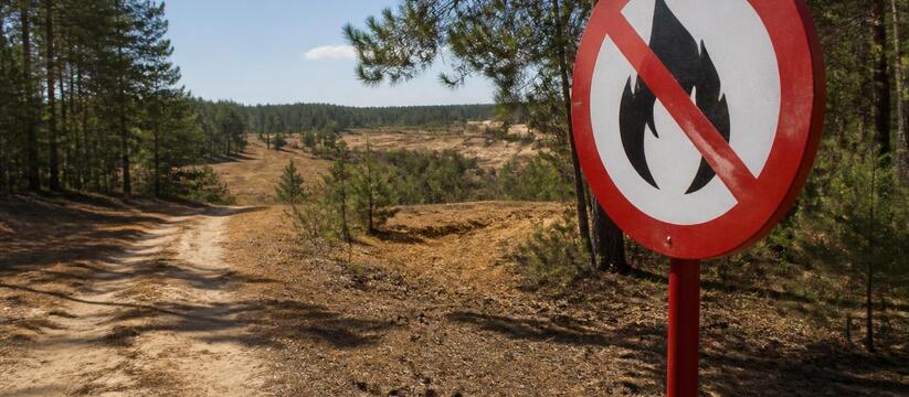 В августе в Татарстане прогнозируют рост пожаро...