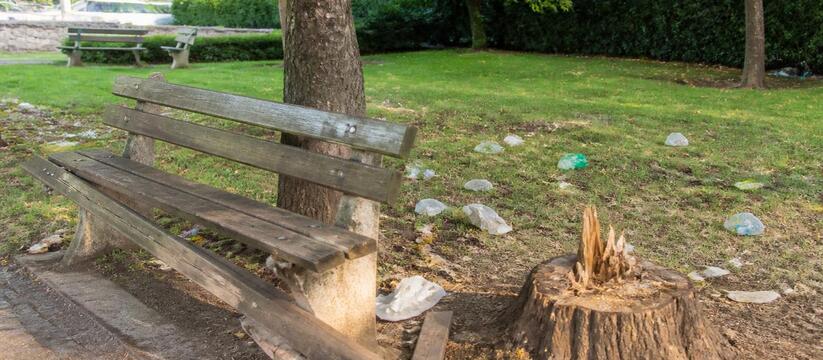 Вандалы в казанских парках повредили более 50 м...