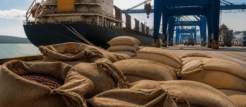 Россия в первом полугодии поставила рекордные 2...