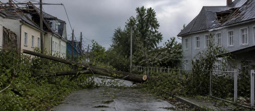 Ураган в Татарстане повалил 63 дерева и оставил без света пять тысяч человек Ураган в Татарстане повалил 63 дерева, оставил ...