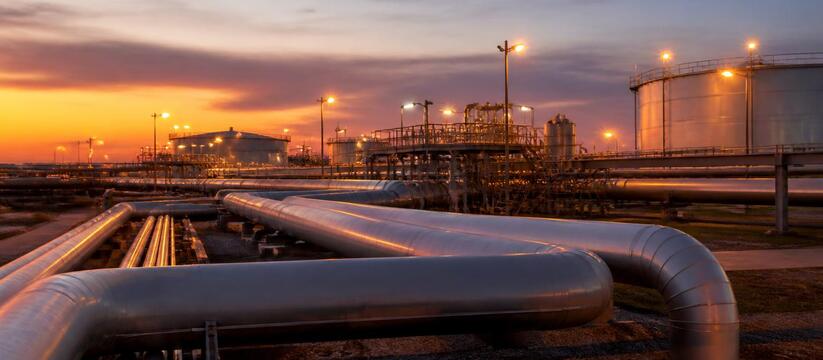 Wood Mackenzie: к 2050 году ЕС может импортиров...