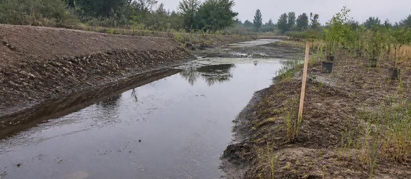 Министерство экологии Татарстана подтвердило не...