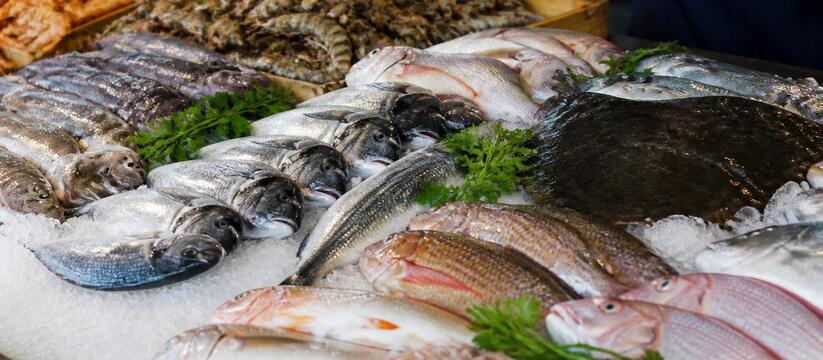 ФАС отслеживает цены на рыбную продукцию и обещ...