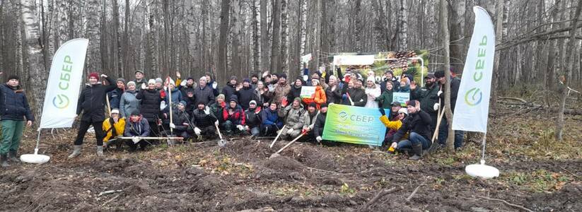 Волонтеры Сбера приняли участие в акции «Посади лес»