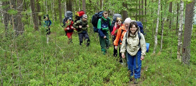 Госдума России активно взялась за проблему, кот...