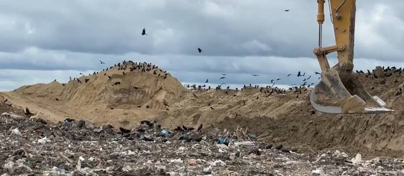В Татарстане разгорается экокатастрофа, угрожаю...