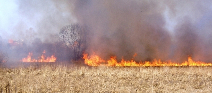 В Татарстане поля оказались охвачены крупным пожаром