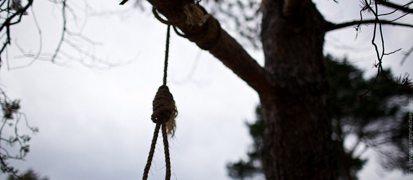 Вернули с того света: в Татарстане спасли мужчину, который висел на дереве с петлей на шее