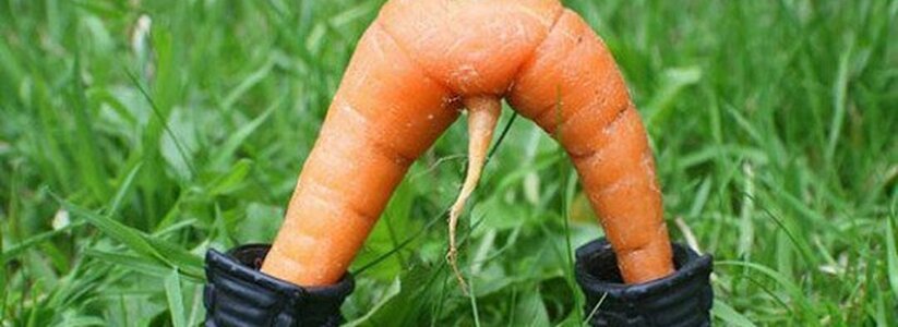 Разорившийся бизнесмен засунул в себя морковку, чтобы развлечься, но достать не смог
