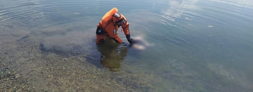 «Явно не купаться пошел»: в Казани в озере на Чуйкова утонул мужчина в верхней одежде