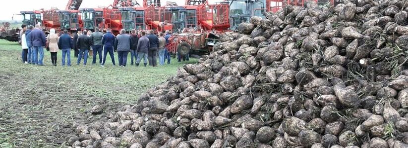 Аграрии Татарстана предупредили, что ночные заморозки могут привести к потерям урожая