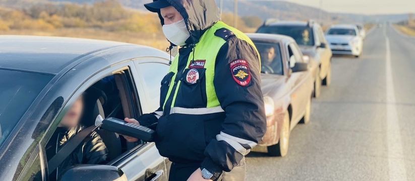 В Татарстане планируются массовые рейды по нетр...