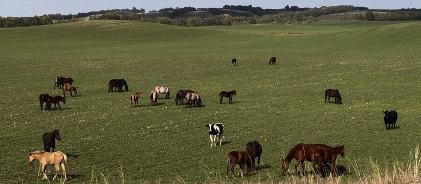 В Татарстане за последние годы заметно сократил...