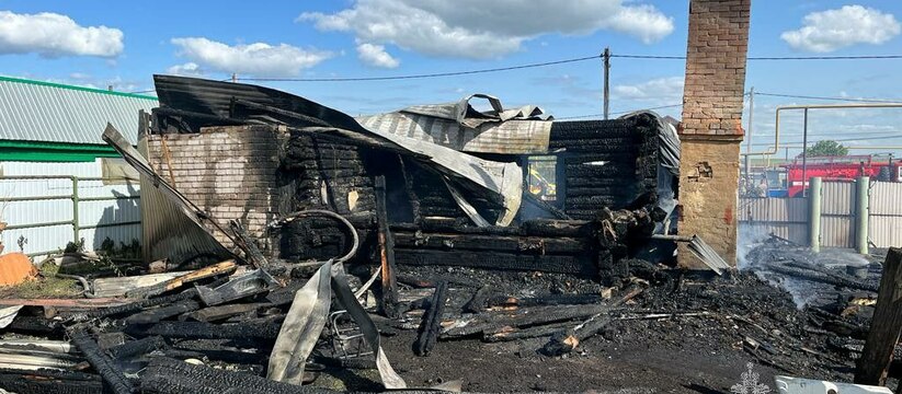 Мать успела выйти из дома: в Татарстане в результате пожара погибли трое взрослых и четверо детей