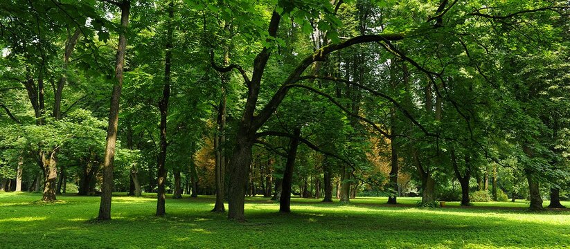 24 августа в микрорайоне Мирный города Зеленодо...