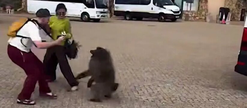 Пара из Казани во время путешествия по ЮАР оказ...